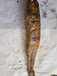 고흥 숯불 생선구이 1호 (3종 고등어2 조기3 서대3) 맛있는 반찬 택배 선물세트 : 보성농수산