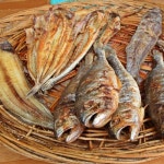 고흥 숯불 생선구이 2호 (양태2 민어2 조기2 서대4 돔1) 반찬 손님접대용 선물용 택배 주문후 맛있게 구워서 보내드려요 : 보성농수산