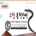 [고창군수협] 고창 풍천장어 1kg+소스(양념장)+생강 : 수협쇼핑 스토어