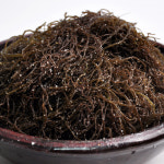 완도 바다향 가득 염장 쌈 다시마 미역줄기 꼬시래기 곰피 톳 : 후레쉬빌