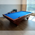 허리우드 유로파골드 진체리 중고당구대(비품 배송 설치비 포함) : 영일당구재료