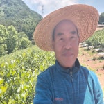 단양애바른약속 아로니아주스 70ml 30봉 : 육남매농장