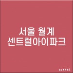 서울 노원구 월계센트럴아이파크  H13헤파필터 (프리필터는 추가옵션에서 선택해주세요) : 클라떼
