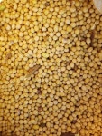 정담소담 구수한 재래식 한식청국장 300g 500g : 정담소담