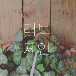 러브 체인 (소) : 쟈스민 식물