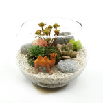 다육 테라리움 만들기 DIY 키트 동물 시리즈(15CM) : 비오스샵