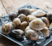 각종 조개류 및 조개살 모음전 : 주식회사오성식품