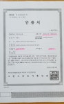 친환경 무농약 건조오미자 500g 산지직송 : 선비가농장
