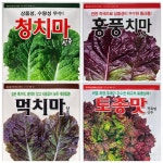봄 가을용 상추씨앗 꽃상추 적치마 청치마 먹치마 : 서진농약사
