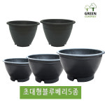 블루베리화분 600 초대형 분갈이 텃밭 도로용 나무심기 옥상 고무화분 : 그린컴퍼니몰