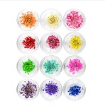 UV 레진 아트 네일 아트 공예 생화 압화12종 미니 꽃 세트 개망초 : 엘토리