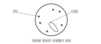 일공일공비디펌 유산균음료 비디펌신바이오틱스 유산균 슈퍼유산균 장기능개선 소화불량효과 1병-5개월분량 장건강에딱좋아 : 스텔라샾
