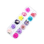 UV 레진 아트 네일 아트 공예 생화 압화12종 미니 꽃 세트 개망초 : 엘토리