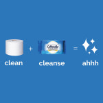 [Cottonelle] 비데물티슈 Flushable Wipes 504 개 : 사운즈나인