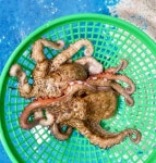 용궁회시장