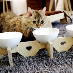 엉클펫 반려동물 고양이 강아지 식기 받침대 도자기식기 1구/2구/3구(자작나무 받침대만) : 해피툴