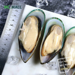 냉동그린홍합 블랙홍합 800G 손질 반탈각 : 엠씨몰 McMall