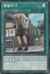 멍멍이(SD32-KR031) 노말 Normal : TCG월드