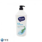 하나로 플러스 쿨멘톨 두피 비듬케어 1.5L 가려움/헤어케어/관리/두피관리/비듬관리 : 데일리원샵