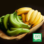 천하일품 제주 무농약 바나나 : 천하일품감귤농장