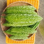 2022 순창 국산 생여주 3kg 출하중 : 순창 단비네농장