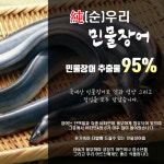 [국내산] 민물장어즙 부모님 남편 추석 선물 원기회복 건강보약 장어엑기스 : 꿈꾸는우주인