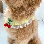 반려 강아지옷 체리케이프 : 쏭퍼피