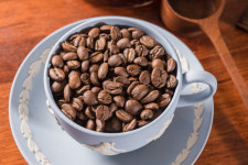 파나마게이샤 내추럴 원두 홀빈 100g 중남미 스페셜티 커피 콩 약배전 홈카페 당일로스팅 : 코페아신드롬