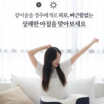 생활백서 잠이솔솔 경추 목디스크에좋은베개 수면베개 배게 베게 배개 무중력 비개 침목 : 다다생활연구소