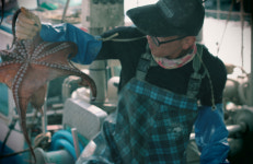 일등푸드 최선장 남해안 활 돌문어 1kg 제수용 문어 왕 문어 : 일등푸드