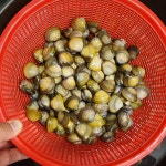 제철 하동 섬진강 재첩국 500g 4택 10팩 판매 : 싱싱이네