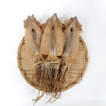 맛있는 국내산 마른오징어 10마리 속초 중앙시장에서 판매하는 정말 맛있는 오징어 : 속초 평화젓갈건어물