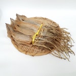 맛있는 국내산 마른오징어 10마리 속초 중앙시장에서 판매하는 정말 맛있는 오징어 : 속초 평화젓갈건어물