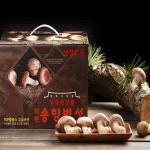 착한송이 송향버섯 송화송고 송화고 가정용1kg : 송향버섯농장