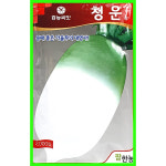 김장무씨앗 청운무 2000립 몸매 좋은 김장무 : 농사몰