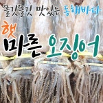 국산 동해안 마른오징어 2마리 130g 건오징어 큰오징어 두꺼운오징어 : 삼천포 동서건어물