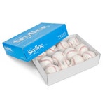 스카이라인 PK-030 R등급 1타12개 사회인리그 야구공 : MOASPORTS