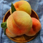 황도복숭아 앨버트 봉지를 씌우지 않은 못난이 복숭아 4kg : 의성 혜영씨네농장