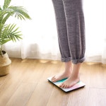 휴대용 LED 디지털 예쁜 체중계 : 바른생활주식회사