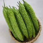 국산 햇 말린여주 건여주 250g : 안동마뜰농장