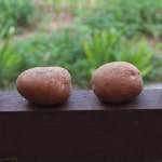 감자 설봉감자 4kg 생산자 직송 농장에서 보내드려요 : dbft