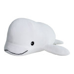 아쿠아플라넷 벨루가인형 : 아쿠아플라넷