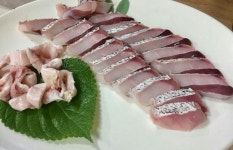 [신안/목포 특산]제철 보양생선 손질 민어 450g내외 (회+부레,껍질/2~3인분)+초장+와사비 : 흥농쏠트식품