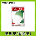 청운무 2000립/몸에 좋은 무 씨앗 : 풍년농자재백화점