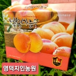 [영덕지인농원] 100% 복숭아즙 파우치 무첨가 과일즙 아이간식 · 건강음료 · 선물세트 : 영덕지인농원