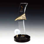 NT-200 이글패 골프트로피 크리스탈 이글상패 : 내트로피상패