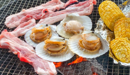 대왕 가리비 1kg (5-8미) 특대 참가리비 캠핑 조개구이 찜 탕 : 더젊은마켓