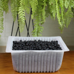 2025 햇 아로니아 냉동과 5kg (2.5kg x 2팩) 꼭지제거 줄기제거 : 고창동막골농장