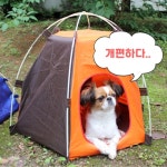 반려견 캠핑 실외 개집 고양이집 새끼 강아지 캠프 텐트 : TSmall