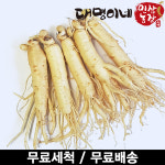 오쿠용 1회분 세척 인삼 수삼 원삼 소 5뿌리내외 250g : 대명이네인삼농장